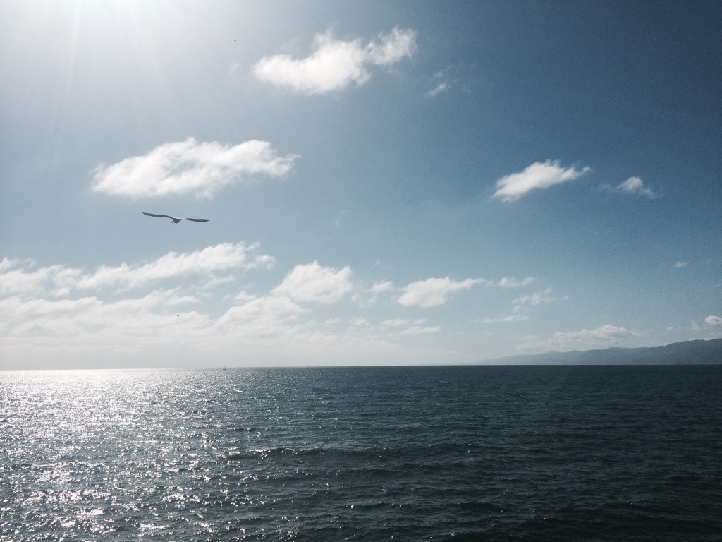 Caught in the&nbsp;Anchor