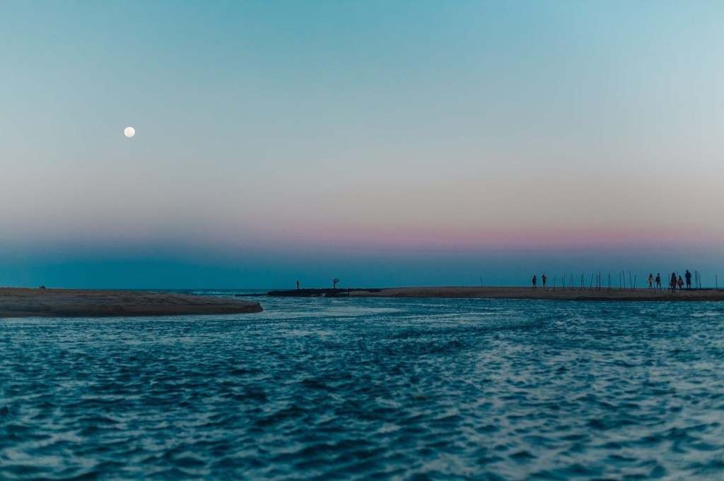 Welcome to the Love&nbsp;Jungle