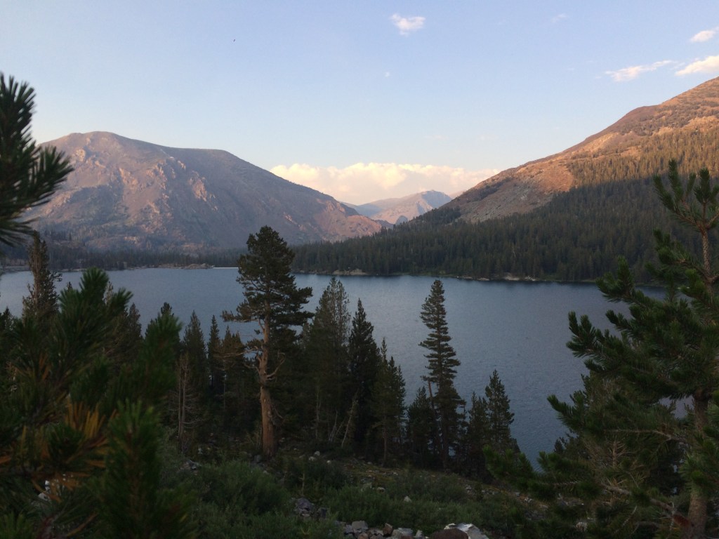 A Dream within a Thread; Springs&nbsp;Unmatched