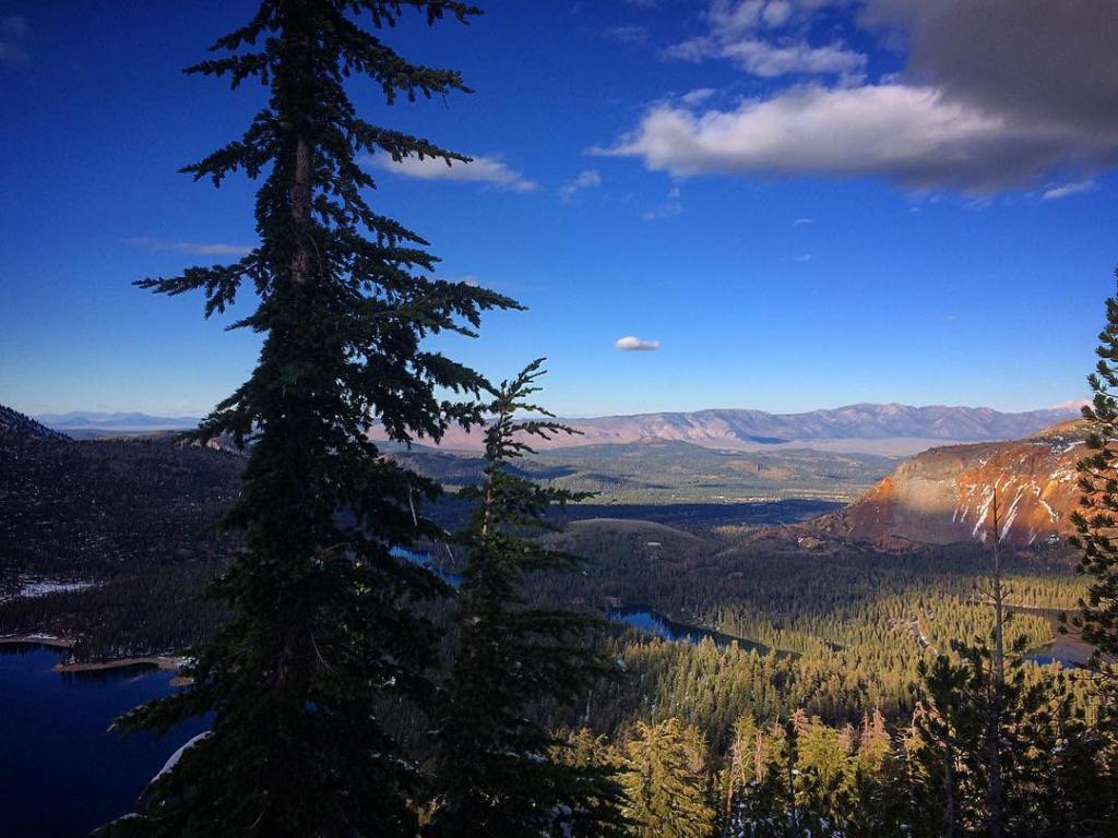 A Note for Me to&nbsp;You